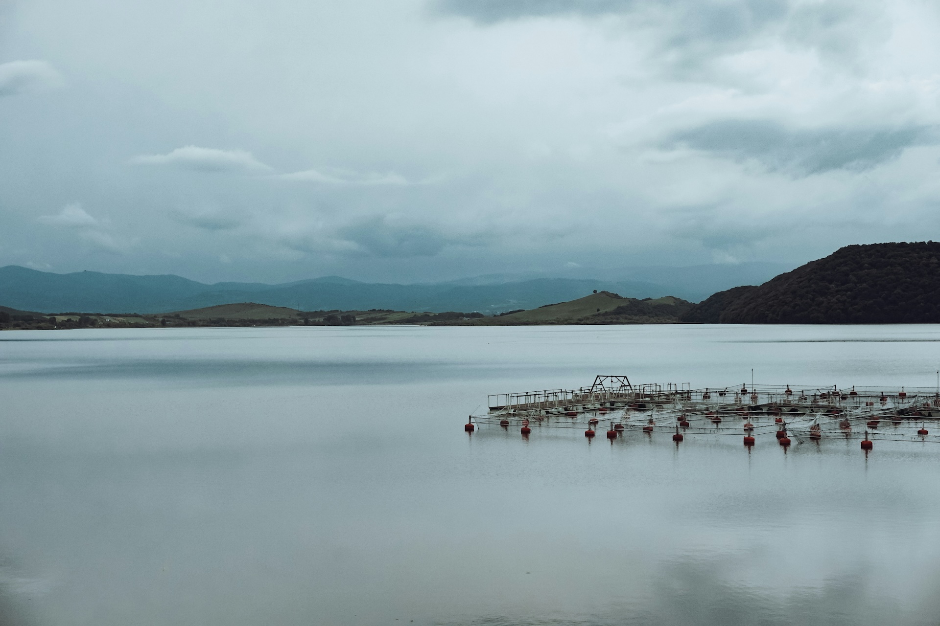 lucut-razvan-GhYTws0Wngk-unsplash